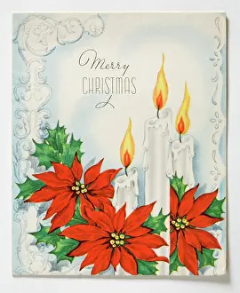 Poinsettia: Christmas card
