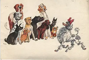 2472: Christmas card - admiring dogs
