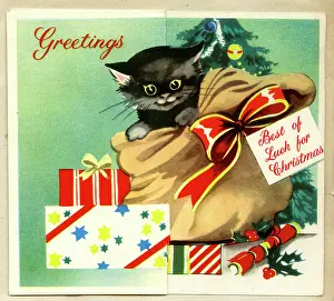 Sack: Christmas card, Black kitten in a sack