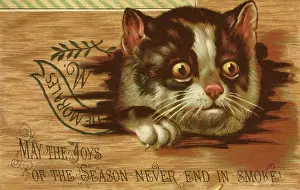 Morales: Christmas card, Cat with surprised expression
