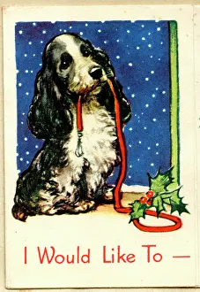 Walkies: Christmas card, Cocker Spaniel dog