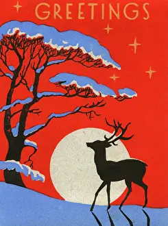 Moonlight: Christmas card, Deer in snow