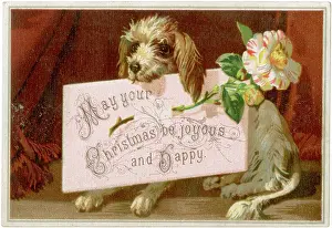 Wishing: Christmas Card Dog