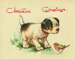 Robins: Christmas card, dog and robin