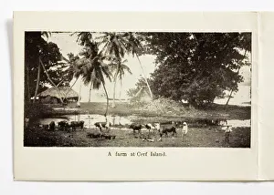Cerf: Christmas card, inside
