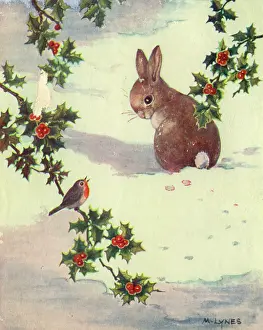 Rabbits: Christmas card, Rabbit and robin