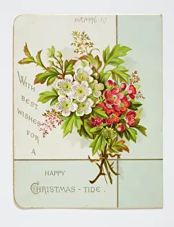 Schipper: Christmas card, reverse