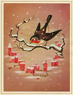 Robins: Christmas card, Robin on a branch