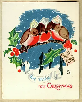 Christmas card, three robins asleep on a branch