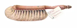 Bristles: Christmas card in the shape of a brush