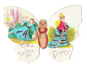 Grub: Christmas card in the shape of a butterfly