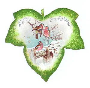 Chaffinches: Christmas card in the shape of a green leaf with birds