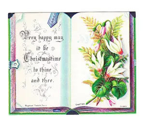 Hasp: Christmas card in the shape of an open book