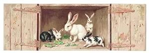 Hinges: Christmas card in the shape of a rabbit hutch