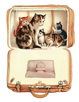 Buckles: Christmas card in the shape of a suitcase
