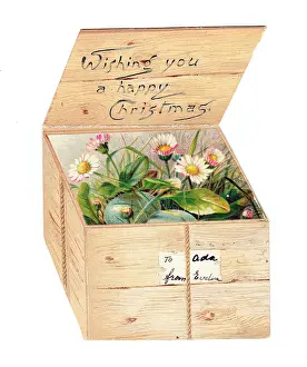 Eveline: Christmas card in the shape of a wooden crate
