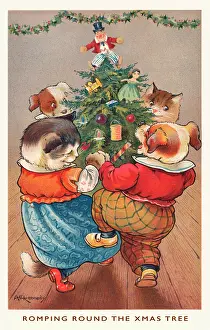 Romping: Christmas cats & dogs