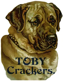 Cracker: Christmas Cracker box label
