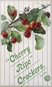 Ripe: Christmas Cracker box label