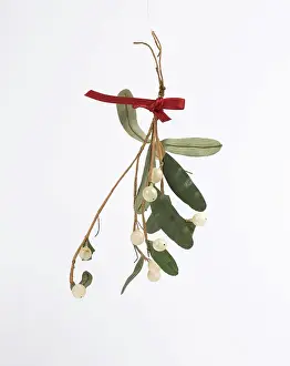 Bauble: Christmas decoration