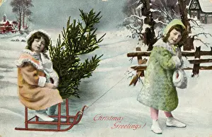 Fetching: Christmas decorations: children fetch tree on a sledge