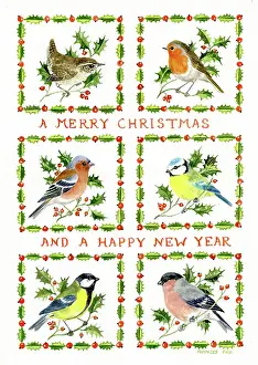 Sprigs: Christmas design with six birds
