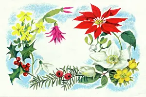 Jasmine: Christmas flowers and leaves