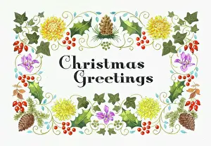 Chrysanthemum: Christmas Greetings