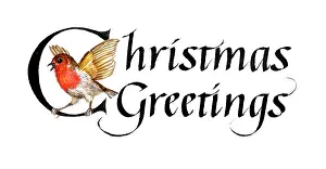 Rosanne: Christmas Greetings with a robin