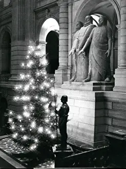 Stoned: Christmas - Halloween - Holidays