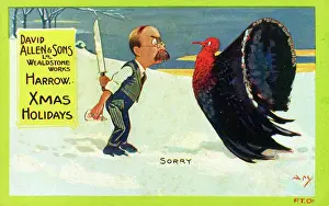 The Michael Diamond Collection: Christmas Holidays - man and turkey - Sorry