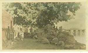 Iraqi: Christmas mail going to the Front, Basra, Iraq, WW1