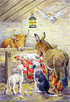 Cockerels: Christmas Nativity Scene