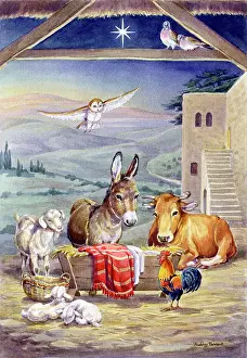 Cockerels: Christmas Nativity Scene