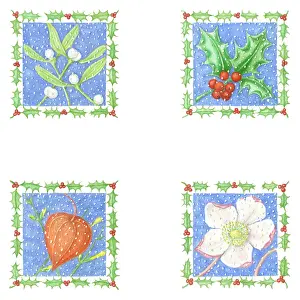 Mclaughlin: Christmas Plants gift cards