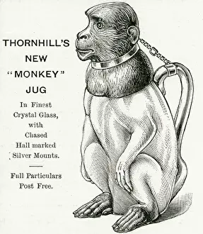 Thornhill: Christmas present - Monkey Jug 1893