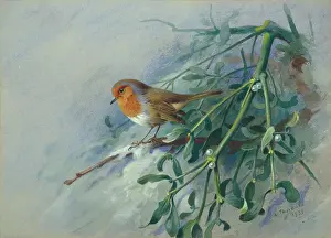 Thorburn: A Christmas Robin