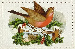 Jane Gordon Clark: Christmas Robin on a Gate