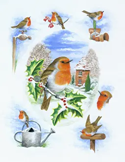 Comerford: Christmas Robins