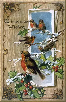Jane Gordon Clark: Christmas Robins with Holly