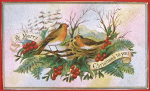 Jane Gordon Clark: Two Christmas Robins on their nest