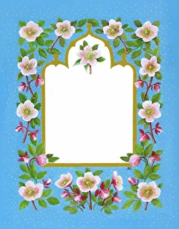 Ashe: Christmas Rose border