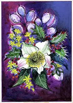 Honesty: Christmas Rose with honesty etc