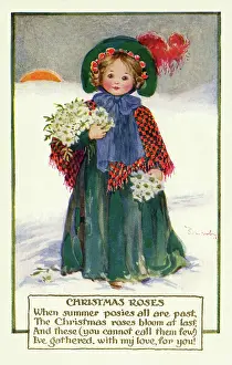Posies: Christmas roses