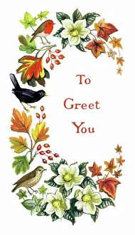 Margery: Christmas roses, birds and foliage