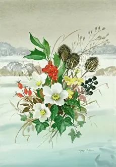 Jessamine: Christmas roses, holly, etc