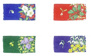 Mclaughlin: Christmas Roses, Holly, Iris, Snowdrops etc