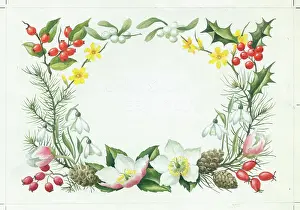 Jessamine: Christmas roses, snowdrops, etc