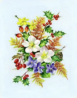 Ockenden: Christmas roses, violets, jasmine, holly etc