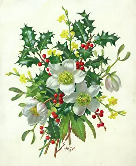 Jessamine: Christmas Spray